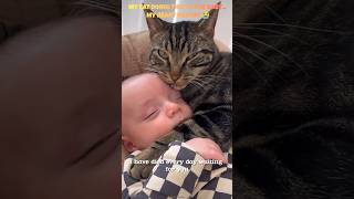 My Baby Was in Pain… But My Cat Never Left Their Side 😭💔🐾 #Shorts #cat #catlife #kitten #catlovers