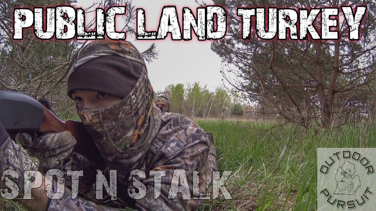 Public land michigan turkey hunting 