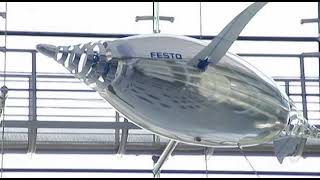 Bionic Aqua Penguins and Air Penguins - Festo | Tom Parker Ltd