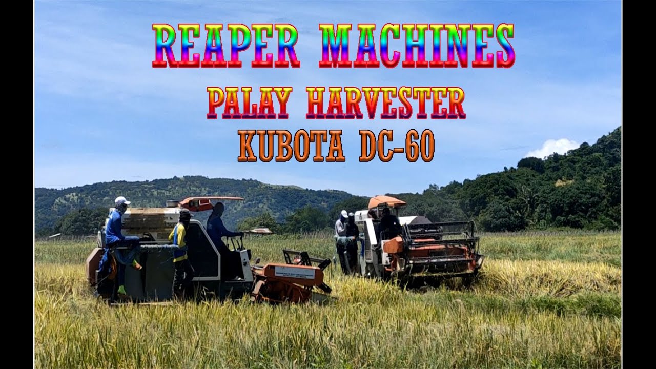 KUBOTA DC60 REAPER MACHINES|RICE HARVESTER|Reynolds MotoVlog