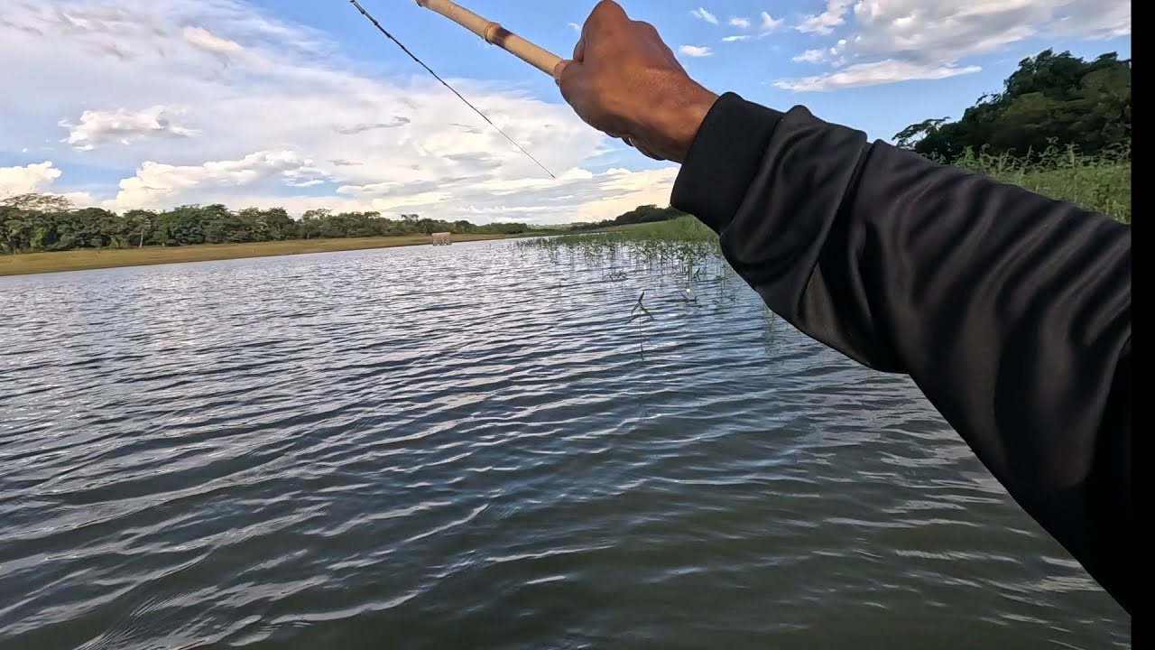 O Vitor falou pai a boinha tá puxando eu não acreditei olha esse bruto