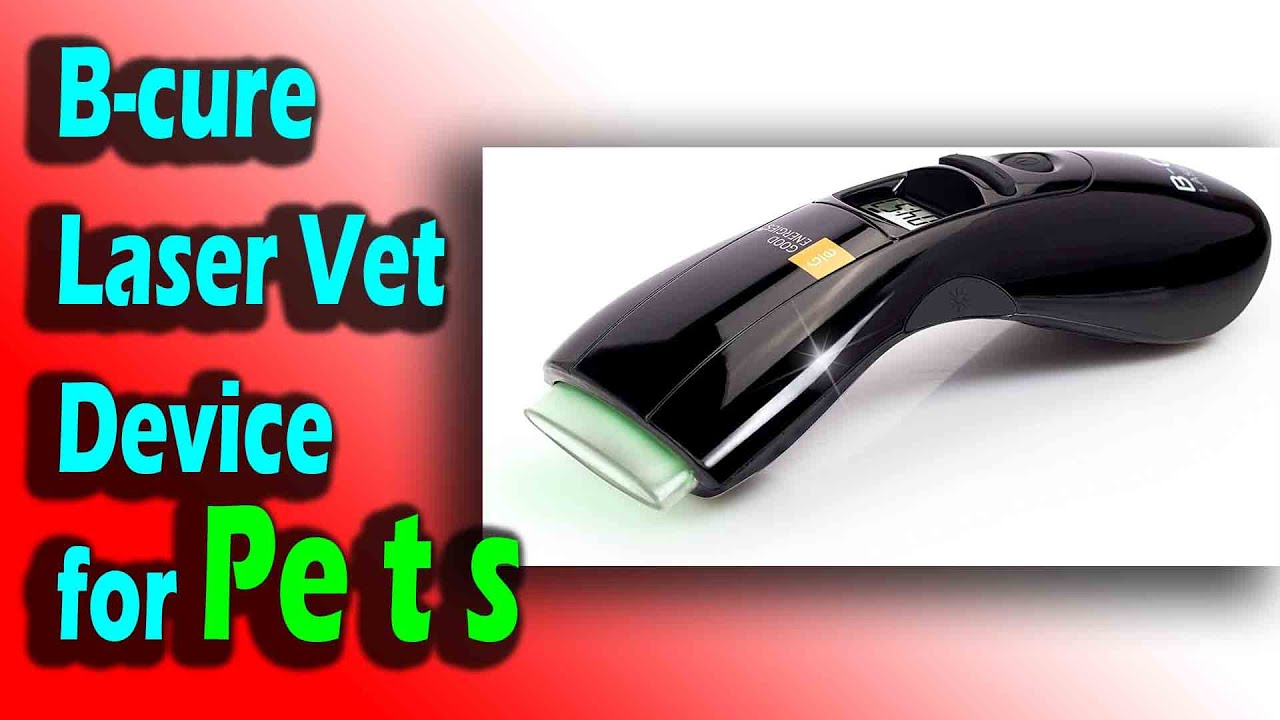 Laser Vet Device for Pets Home Laser Therapy for Dogs Cats Horses