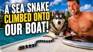 Fiji's Wild Side 🇫🇯 - EP56