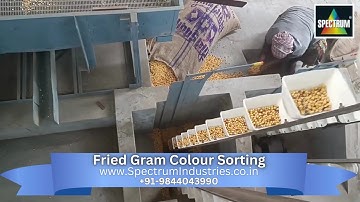 Mastering Fried Gram Color Sorting Precision Technology Spectrum Industries