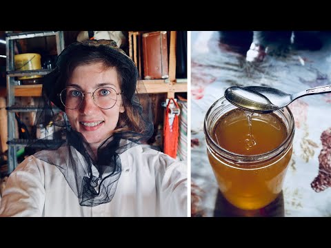 BEEKEEPING IN RUSSIA: everything about bees and beehives, how honey is made, work in an apiary. B2C1