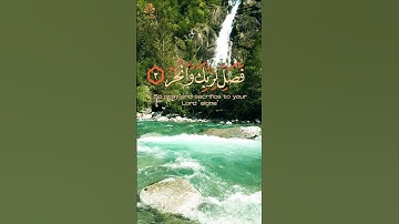 قرآن كريم | سورة الكوثر | القارئ عبد الرحمن مسعد