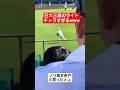 【甲子園】日大三高のライトがチャラすぎるww#shorts#tiktok#おすすめ#甲子園#高校野球#感動