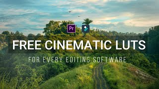 Free Cinematic LUTs 2020 | Mohit Chandra