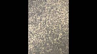 VID-20110428-00000