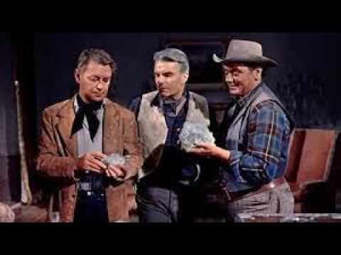 L Or Du Hollandais 1958 Avec Aan Ladd Film Western Complet En Français 