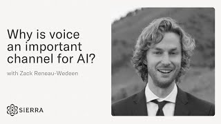Why is voice an important channel for AI?