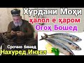 МОХИ ХУРДАНШ ХАЛОЛ Ё ХАРОМ ОГОХ БОШЕД ХОЧИ МИРЗО ЧИ ГУФТ БИНЕД