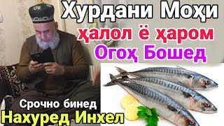 МОХИ ХУРДАНШ ХАЛОЛ Ё ХАРОМ ОГОХ БОШЕД ХОЧИ МИРЗО ЧИ ГУФТ БИНЕД