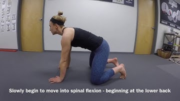 Segmental Spinal Flexion/Extension