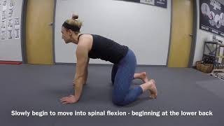 Segmental Spinal Flexion/Extension