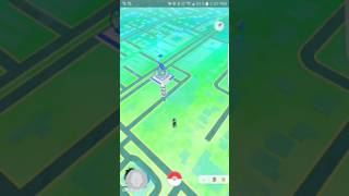 Pokémon Go glitch with Eevee screaming