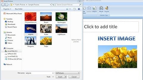 new video || How to Insert Pictures in a PowerPoint Slide || PowerPoint 2007: Inserting Pictures