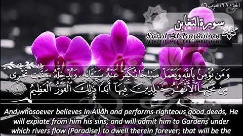 064  سورة التغابن ماهر المعيقلي  Sûrat At Taghâbun Maher Al Muaiqly