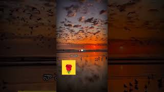 Palikey Gorinka Chudavey Na Vanka