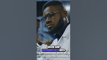 Building the Future  How Biomaterials Revolutionize Tissue Engineering 🧬