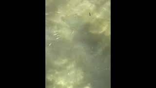 20260818 113028