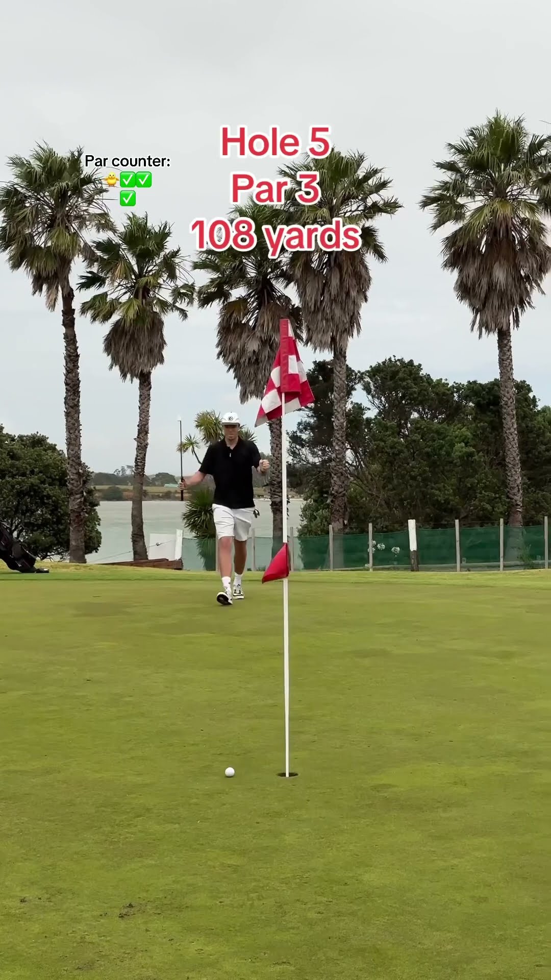 Day 331, part 2: Playing GOLF EVERYDAY until I make 18 pars in a row
