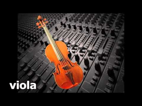 orchestral-string-instruments_revised