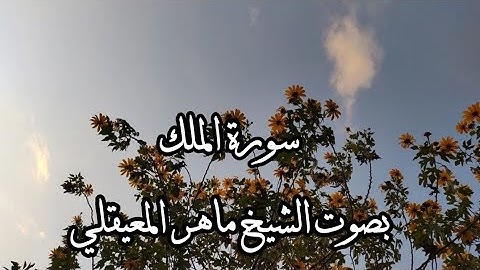 سورة الملك بصوت الشيخ ماهر المعيقلي