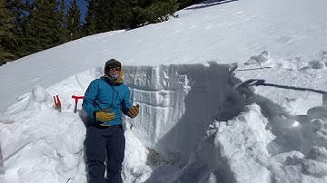 Persistent Weak Layers in a shallow snowpack