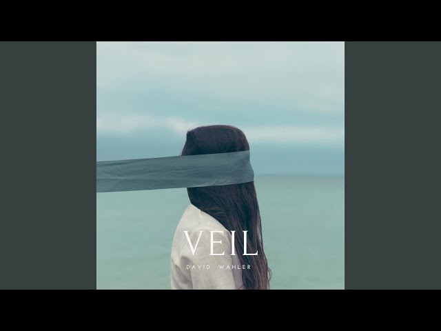 David Wahler - Veil