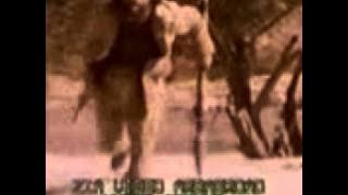 افغانی مجاهدین