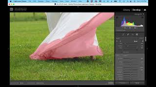 Watch me edit mud off a dress in Lightroom Classic screenshot 3