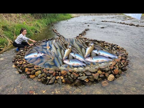 Full video 31 days Girl makes fish traps in streams using many methods. And catches a lot of fish.