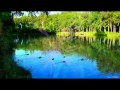 Promenade du soir autour du lac de lenclas 31   by timicrations