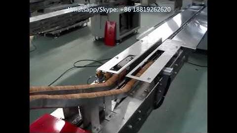 Skywin Automatic Biscuit Cookies On Edge Packing Machine Line