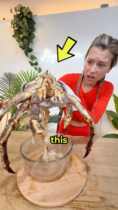 I Found THIS in my Fish Tank 🦀