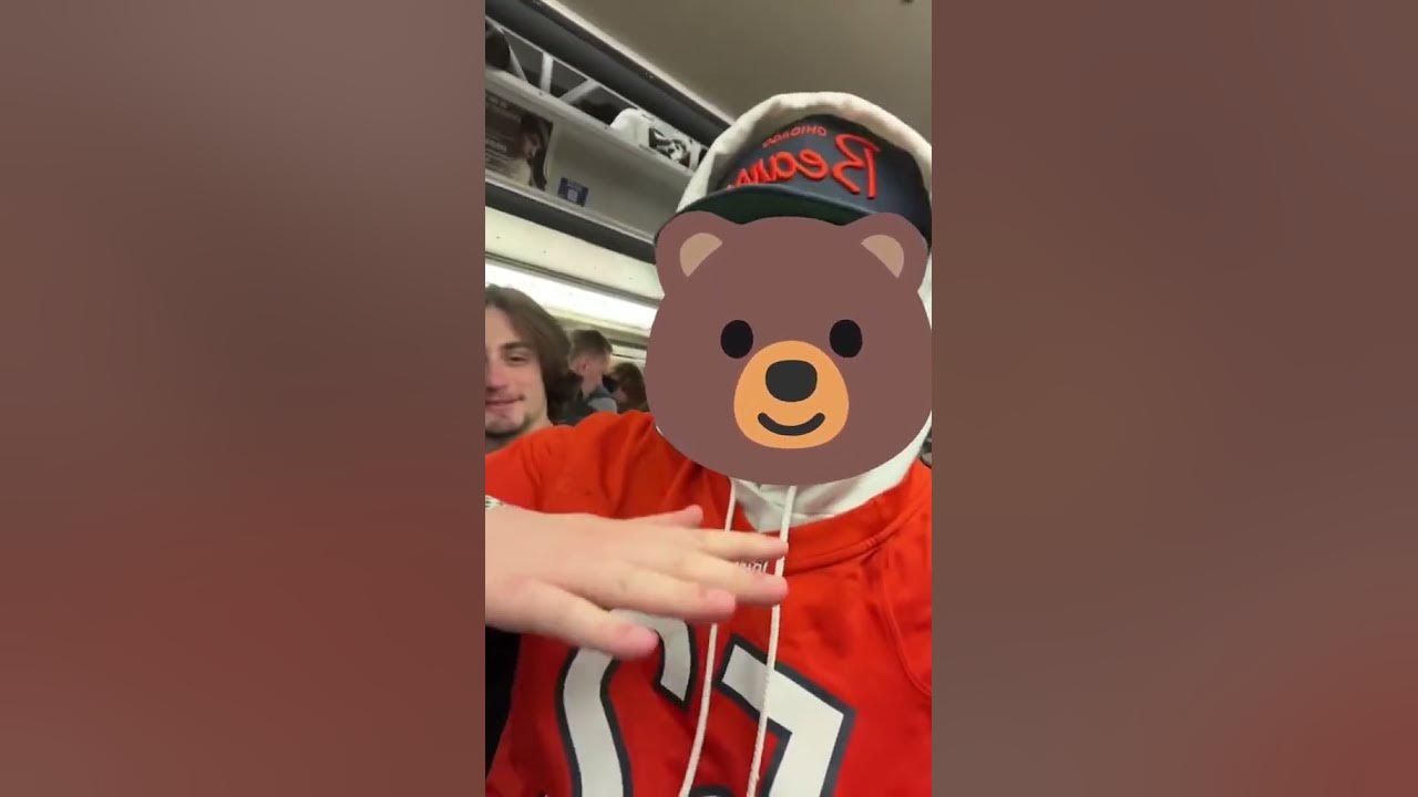 sad bears fan YouTube