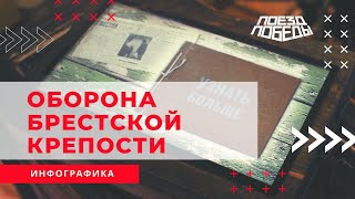 Инфографика 