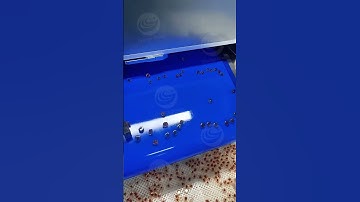 If you need candy production machines, please contact us #machine #factory #smallbusiness