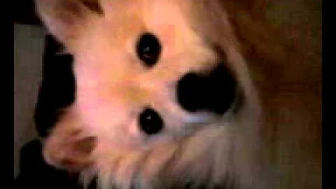 1120101459