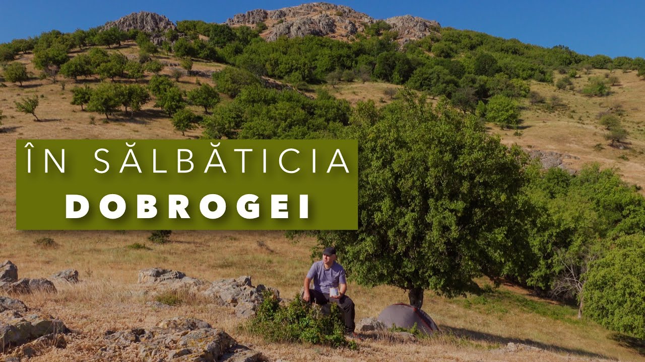 O noapte singur la cort în Dobrogea - Vântul nu m-a lăsat în pace #ASMR