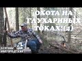 Охота на глухариных токах !(4)