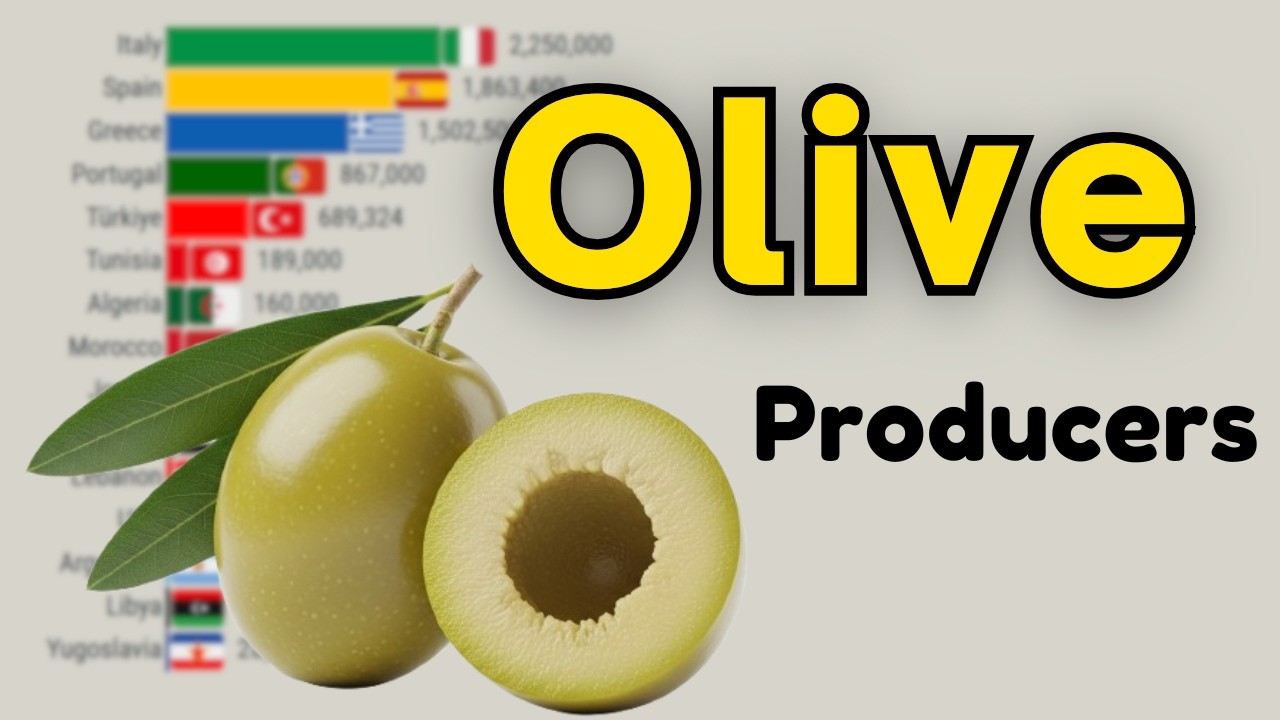 Крупнейший в мире производитель оливок