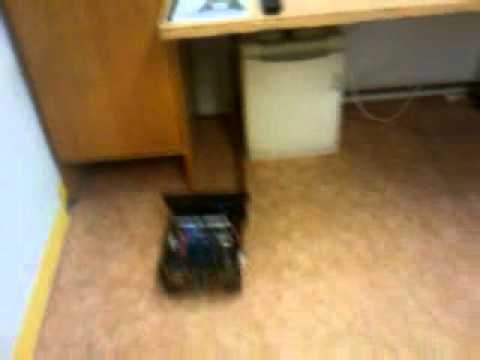 Kinbo - A mobile robot with the Kinect device