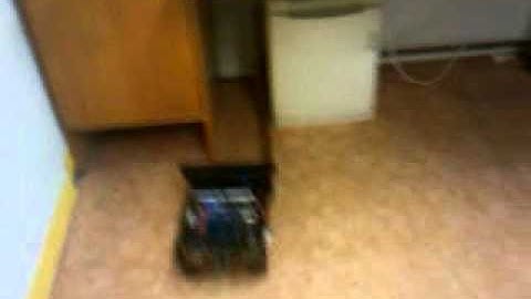 Kinbo - A mobile robot with the Kinect device