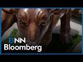 Earnings continue to drive equity bull run