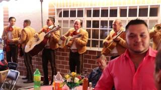 Video-Miniaturansicht von „¡Este mariachi nos jodió a todos con el Mono de Alambre!“