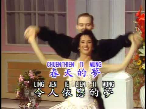 【鑽石舞曲精選】春之夢 (高清LD版)