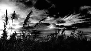 De Carona com a Saudade mp4