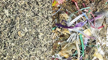 TAIHO Intelligent YaoGuang Series Tea Impurities Sorting Machine